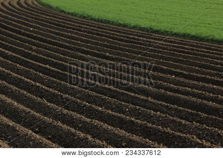 Fertile Soil As Basis For A Functional Agricultural Cultivation