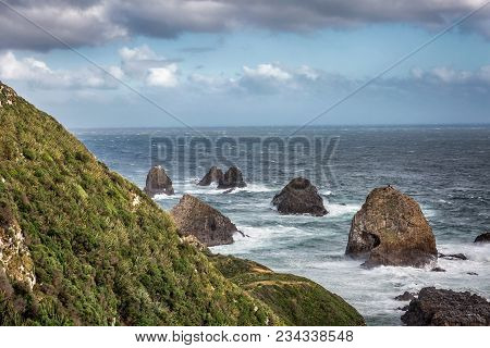 New Zealand Coast