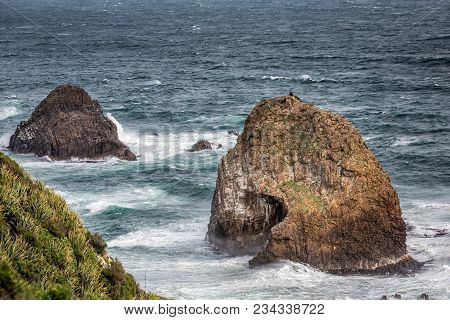 New Zealand Coast