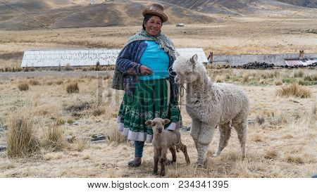 Arequipa, Peru - September 2017: Peruvian Woman With Lama And Alpaca.
