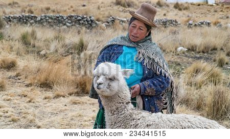 Arequipa, Peru - September 2017: Peruvian Woman With Lama And Alpaca.