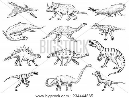 Dinosaurs Set, Tyrannosaurus Rex, Triceratops, Barosaurus, Diplodocus, Velociraptor, Triceratops Ste