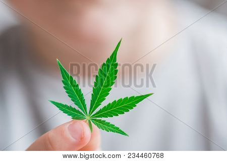 Smiling Kid Child Holding A Hemp Leaf. Concepts Of Using Marihuna For Medicinal Purposes For Childre