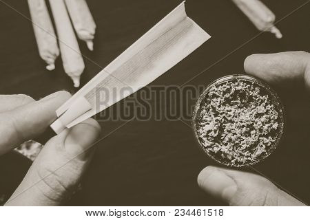 The Man Twists The Canth From Fresh Marijuana