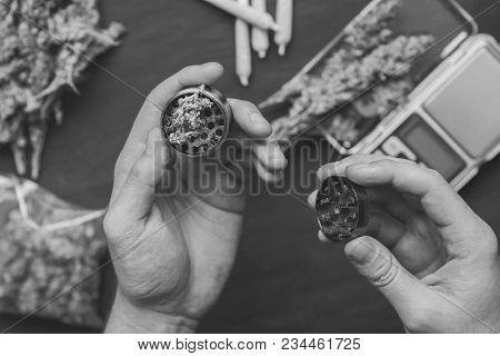 The Man Twists The Canth From Fresh Marijuana