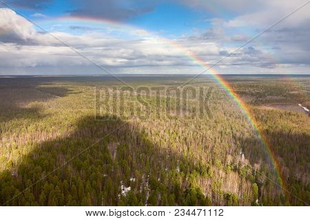 Aerial View Of The Forest With Rainbow During The Spring.
