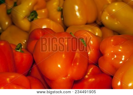 Background - Bright Orange Ang Yellow Ripe Fruits Of Sweet Capsicum Bell Pepper
