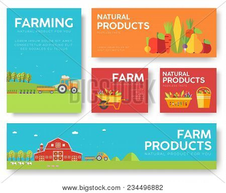 Farm Information Cards Set. Nature Template Of Flyear, Magazines, Posters, Book Cover, Banners. Eco 