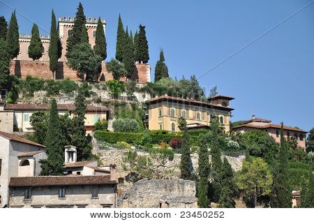 Gli alberi e gli edifici sulla collina