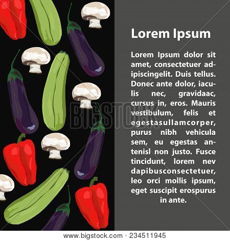 Fruit And Vegetables. Vector. Hand Drawn. Template. Eggplant, Marrow Squash, Champignon, Red Pepper 
