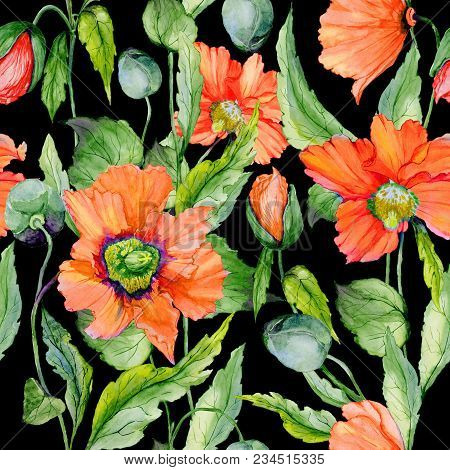 Beautiful Red Poppy Flowers With Green Leaves On Black Background. Seamless Floral Pattern. Watercol