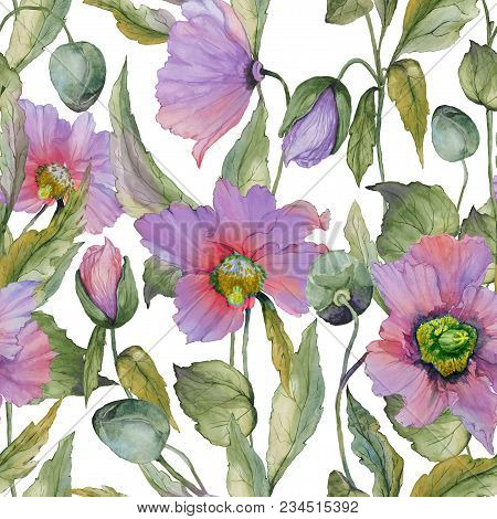 Beautiful Lilac Poppy Flowers With Green Leaves On White Background. Seamless Floral Pattern. Waterc