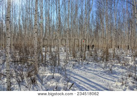 Winter Scenery Of Heilongjiang, China