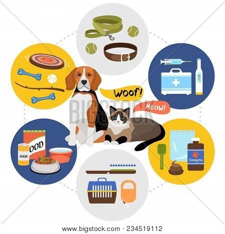 Flat Pet Shop Template With Dog Cat Toys Collar Carrier Food Shampoo Comb Leash Bones Medical Kit Sy