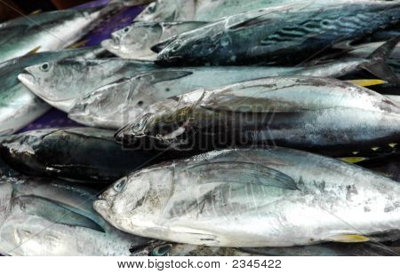 Fisk sælges på Kota Kinabalu marked