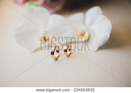 Two Golden Wedding Rings Isolated Background Concept.