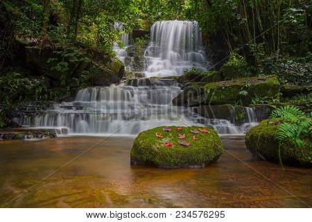 Mun Dang Waterfall With A Pink Flower Foreground In Rain Forest At Phitsanulok Province, Thailand