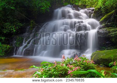 Mun Dang Waterfall With A Pink Flower Foreground In Rain Forest At Phitsanulok Province, Thailand