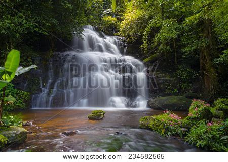 Mun Dang Waterfall With A Pink Flower Foreground In Rain Forest At Phitsanulok Province, Thailand