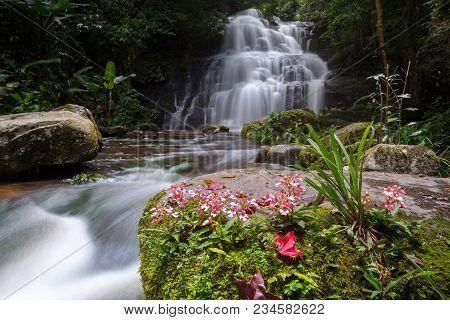 Mun Dang Waterfall With A Pink Flower Foreground In Rain Forest At Phitsanulok Province, Thailand