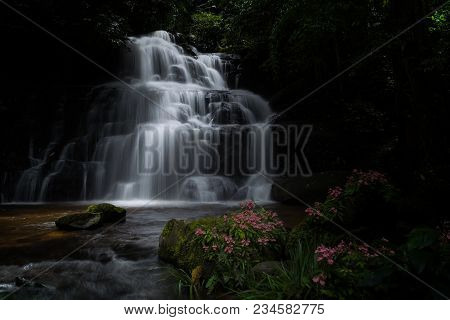 Mun Dang Waterfall With A Pink Flower Foreground In Rain Forest At Phitsanulok Province, Thailand