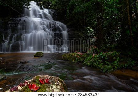 Mun Dang Waterfall With A Pink Flower Foreground In Rain Forest At Phitsanulok Province, Thailand