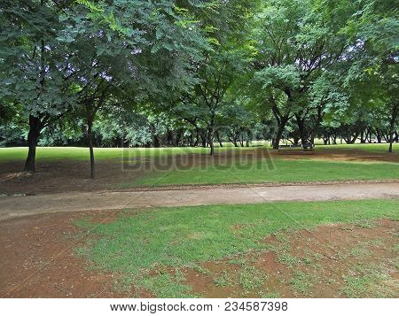 View Of The Juventude Park In Sao Paulo, Brazil
