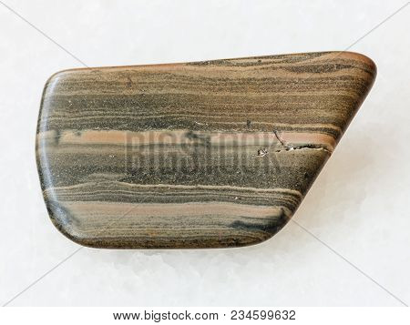 Polished Marl Shale Stone On White