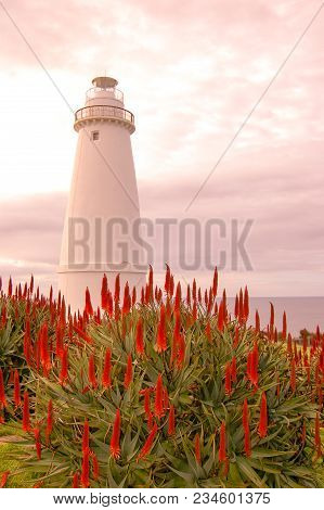 Port Willoughby Lighthouse, Kangaroo Island, Sa (portrait Orientation)
