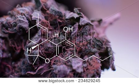 .concert Of Medical Marijuana Treatment. Thc .element Diagram