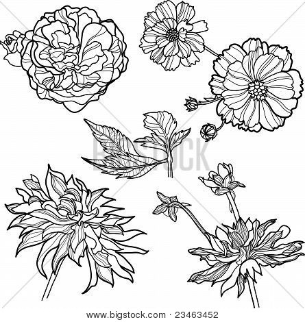 Ensemble de fleurs