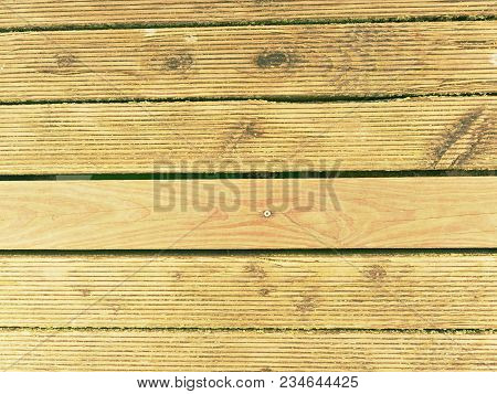 The Surface Of The Hardwood Floor Treated With A Fungicidal And Insecticidal Sealer. Places With Lic