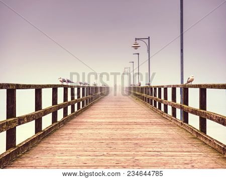 Old Wood Beach Bridge In Goehren With Nobody. Autumnal Misty Weather With Cloudy Sky.