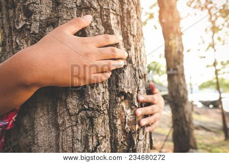 Hug Big Tree,symbolizing The Connection Between Humans And Nature. Concept Nature And People.