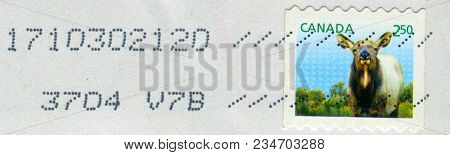 GOMEL, BELARUS, 13 DECEMBER 2017, Stamp printed in Canada shows image of the Moose, circa 2017. 
