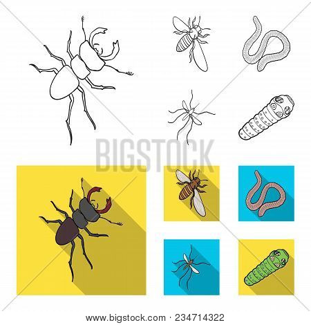 Arthropods Insect Mosquito, Bee.earth Worm, Caterpillar, Vermicular Set Collection Icons In Outline,