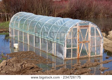 Plastic Greenhouse With Wooden Doors Surrounded With Grass, Ground, Branches, Vegetation And Rising 