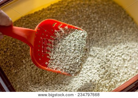 Cat Toiler - Litter In A Box With Red Plastic Scoop