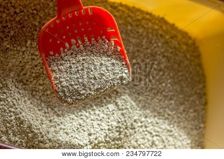 Cat Toiler - Litter In A Box With Red Plastic Scoop