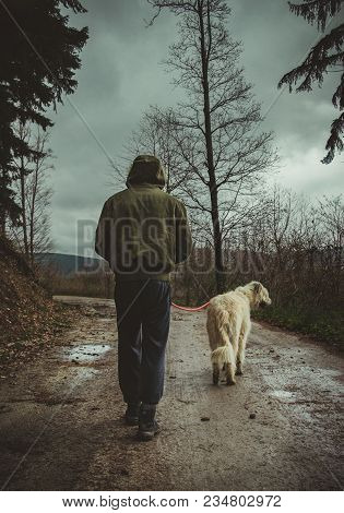 Man In Bumber Jacket With Hood On The Head Walking With His Dog (irish Wolfhound) On The Path  Throu