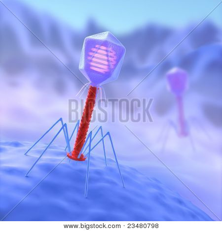 Bacteriophage