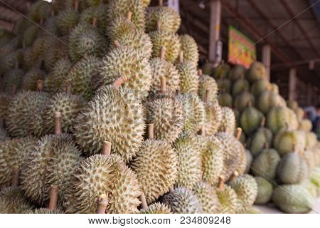 Durian King Of Fruit