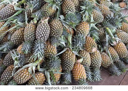 Durian King Of Fruit