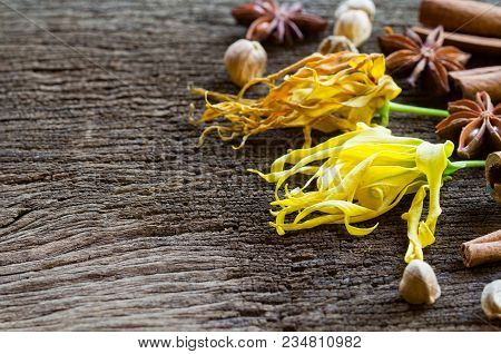Yellow Thai Ylang-ylang Or Ilang-ilang Flower On Rustic Wooden Background
