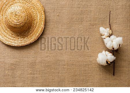 Flat Lay Background Image & Photo (Free Trial) | Bigstock