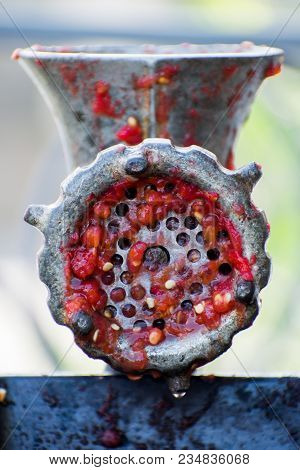 Hand-powered Mincing Machine Used For Grinding Paprika.