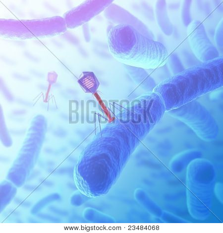 Bacteriophage angreb