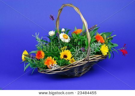 Čerstvé bylinky a květy ze zahrady pro léčení