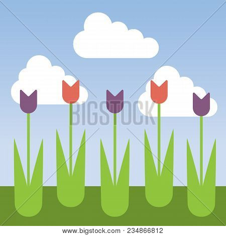 Flower Bed With Tulips And Grass Under Blue Sky With Clouds - Vector Flat Design