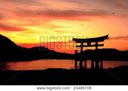 Japansk Tori i vandet